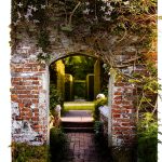 Gardening Essays by St. Martin's Press Kindle Edition-0