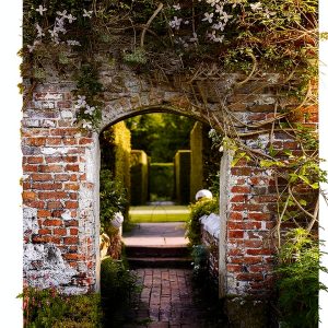Gardening Essays by St. Martin's Press Kindle Edition-0