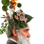 Gardening & Horticulture Essays by Timber Press-0