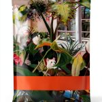 HarperCollins Kindle eBook Gardening Horticulture Guide Reprint-0